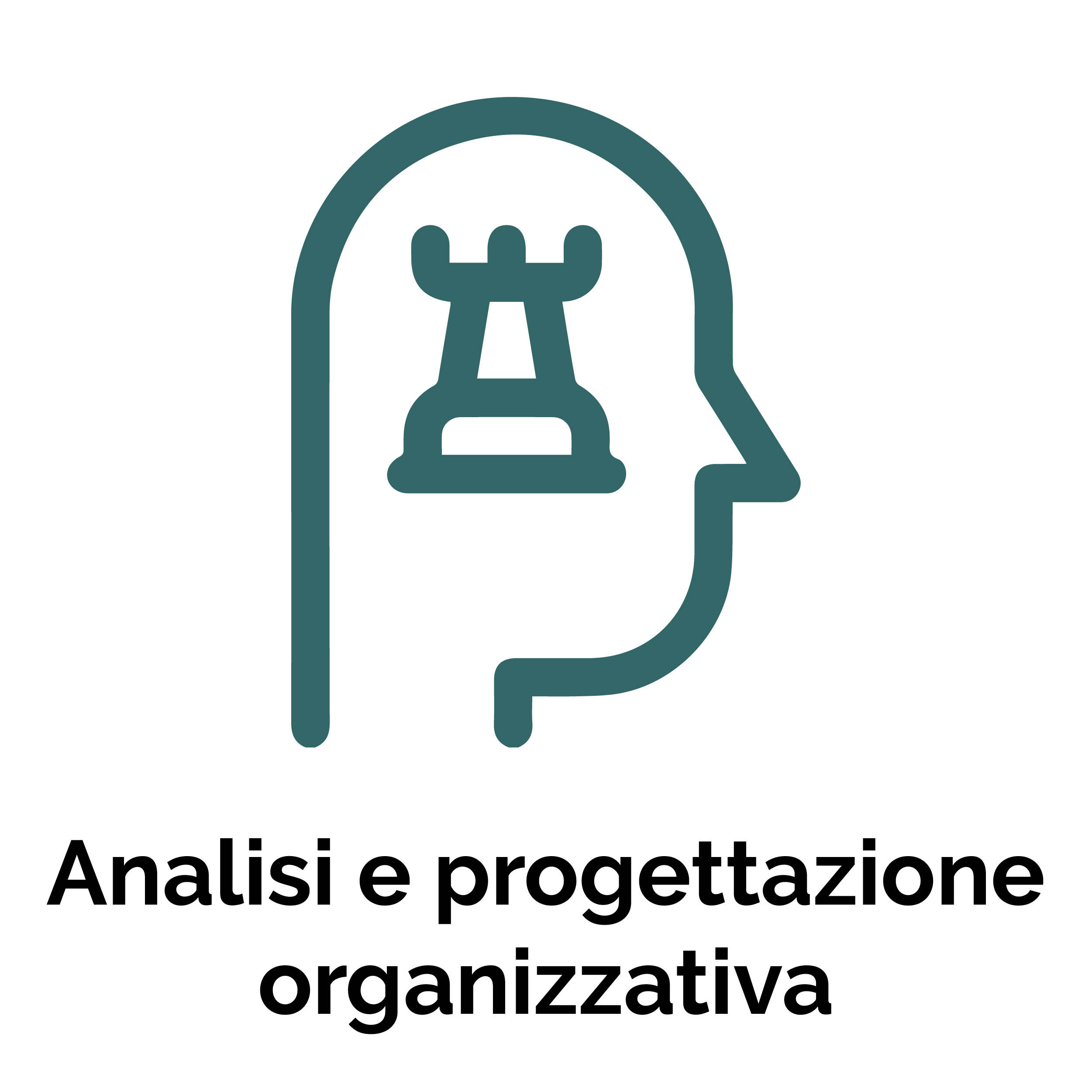 Analisi e progettazione organizzativa