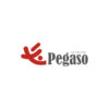 Pegaso Network